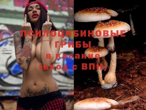 MDMA Premium VHQ Пролетарск
