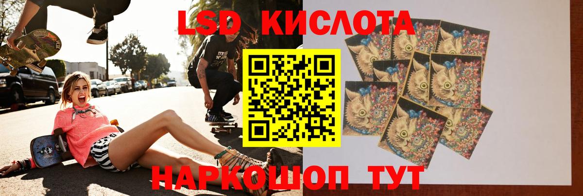 LSD-25 экстази кислота Лесной