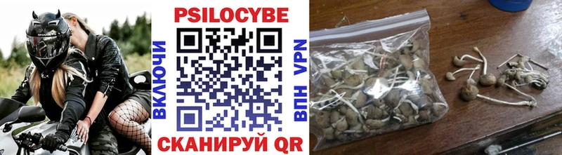 Галлюциногенные грибы прущие грибы  Лесной 